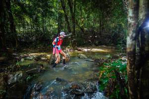 BIB: 
                            <button type="button" onclick="openModal(24994451)" class="btn btn-primary btn-sm float-right btn-popup" data-toggle="modal" data-target=".modal-high-quality">
                        <i class="fas fa-shopping-cart"></i> Add to Cart
                    </button>
                                            <button type="button" onclick="isThisMe(24994451, true)" class="btn btn-success btn-sm float-right btn-popup btn-isme hidden" data-toggle="tooltip" data-placement="bottom" title="นี่คือรูปของคุณใช่ไหม คลิกที่นี่เพื่อเอาเข้าอัลบั้ม">
                        <i class="fas fa-plus"></i> Add to album
                    </button>
                    <button type="button" onclick="isThisMe(24994451, false)" class="btn btn-warning btn-sm float-right btn-popup btn-isnotme hidden">
                        <i class="fas fa-ban"></i> Remove from album
                    </button>