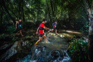 BIB: 
                            <button type="button" onclick="openModal(24994103)" class="btn btn-primary btn-sm float-right btn-popup" data-toggle="modal" data-target=".modal-high-quality">
                        <i class="fas fa-shopping-cart"></i> Add to Cart
                    </button>
                                            <button type="button" onclick="isThisMe(24994103, true)" class="btn btn-success btn-sm float-right btn-popup btn-isme hidden" data-toggle="tooltip" data-placement="bottom" title="นี่คือรูปของคุณใช่ไหม คลิกที่นี่เพื่อเอาเข้าอัลบั้ม">
                        <i class="fas fa-plus"></i> Add to album
                    </button>
                    <button type="button" onclick="isThisMe(24994103, false)" class="btn btn-warning btn-sm float-right btn-popup btn-isnotme hidden">
                        <i class="fas fa-ban"></i> Remove from album
                    </button>