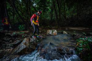 BIB: 
                            <button type="button" onclick="openModal(24994668)" class="btn btn-primary btn-sm float-right btn-popup" data-toggle="modal" data-target=".modal-high-quality">
                        <i class="fas fa-shopping-cart"></i> Add to Cart
                    </button>
                                            <button type="button" onclick="isThisMe(24994668, true)" class="btn btn-success btn-sm float-right btn-popup btn-isme hidden" data-toggle="tooltip" data-placement="bottom" title="นี่คือรูปของคุณใช่ไหม คลิกที่นี่เพื่อเอาเข้าอัลบั้ม">
                        <i class="fas fa-plus"></i> Add to album
                    </button>
                    <button type="button" onclick="isThisMe(24994668, false)" class="btn btn-warning btn-sm float-right btn-popup btn-isnotme hidden">
                        <i class="fas fa-ban"></i> Remove from album
                    </button>