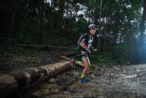 BIB: 
                            <button type="button" onclick="openModal(25002777)" class="btn btn-primary btn-sm float-right btn-popup" data-toggle="modal" data-target=".modal-high-quality">
                        <i class="fas fa-shopping-cart"></i> Add to Cart
                    </button>
                                            <button type="button" onclick="isThisMe(25002777, true)" class="btn btn-success btn-sm float-right btn-popup btn-isme hidden" data-toggle="tooltip" data-placement="bottom" title="นี่คือรูปของคุณใช่ไหม คลิกที่นี่เพื่อเอาเข้าอัลบั้ม">
                        <i class="fas fa-plus"></i> Add to album
                    </button>
                    <button type="button" onclick="isThisMe(25002777, false)" class="btn btn-warning btn-sm float-right btn-popup btn-isnotme hidden">
                        <i class="fas fa-ban"></i> Remove from album
                    </button>