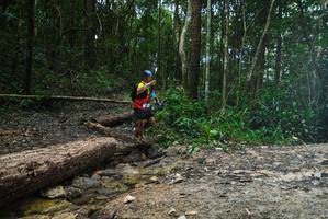 BIB: 
                            <button type="button" onclick="openModal(25003086)" class="btn btn-primary btn-sm float-right btn-popup" data-toggle="modal" data-target=".modal-high-quality">
                        <i class="fas fa-shopping-cart"></i> Add to Cart
                    </button>
                                            <button type="button" onclick="isThisMe(25003086, true)" class="btn btn-success btn-sm float-right btn-popup btn-isme hidden" data-toggle="tooltip" data-placement="bottom" title="นี่คือรูปของคุณใช่ไหม คลิกที่นี่เพื่อเอาเข้าอัลบั้ม">
                        <i class="fas fa-plus"></i> Add to album
                    </button>
                    <button type="button" onclick="isThisMe(25003086, false)" class="btn btn-warning btn-sm float-right btn-popup btn-isnotme hidden">
                        <i class="fas fa-ban"></i> Remove from album
                    </button>