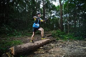 BIB: 
                            <button type="button" onclick="openModal(25002966)" class="btn btn-primary btn-sm float-right btn-popup" data-toggle="modal" data-target=".modal-high-quality">
                        <i class="fas fa-shopping-cart"></i> Add to Cart
                    </button>
                                            <button type="button" onclick="isThisMe(25002966, true)" class="btn btn-success btn-sm float-right btn-popup btn-isme hidden" data-toggle="tooltip" data-placement="bottom" title="นี่คือรูปของคุณใช่ไหม คลิกที่นี่เพื่อเอาเข้าอัลบั้ม">
                        <i class="fas fa-plus"></i> Add to album
                    </button>
                    <button type="button" onclick="isThisMe(25002966, false)" class="btn btn-warning btn-sm float-right btn-popup btn-isnotme hidden">
                        <i class="fas fa-ban"></i> Remove from album
                    </button>