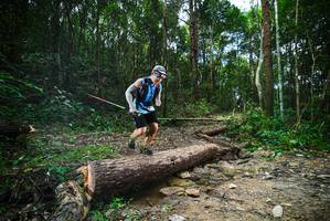 BIB: 
                            <button type="button" onclick="openModal(25003108)" class="btn btn-primary btn-sm float-right btn-popup" data-toggle="modal" data-target=".modal-high-quality">
                        <i class="fas fa-shopping-cart"></i> Add to Cart
                    </button>
                                            <button type="button" onclick="isThisMe(25003108, true)" class="btn btn-success btn-sm float-right btn-popup btn-isme hidden" data-toggle="tooltip" data-placement="bottom" title="นี่คือรูปของคุณใช่ไหม คลิกที่นี่เพื่อเอาเข้าอัลบั้ม">
                        <i class="fas fa-plus"></i> Add to album
                    </button>
                    <button type="button" onclick="isThisMe(25003108, false)" class="btn btn-warning btn-sm float-right btn-popup btn-isnotme hidden">
                        <i class="fas fa-ban"></i> Remove from album
                    </button>