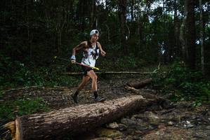 BIB: 
                            <button type="button" onclick="openModal(25002954)" class="btn btn-primary btn-sm float-right btn-popup" data-toggle="modal" data-target=".modal-high-quality">
                        <i class="fas fa-shopping-cart"></i> Add to Cart
                    </button>
                                            <button type="button" onclick="isThisMe(25002954, true)" class="btn btn-success btn-sm float-right btn-popup btn-isme hidden" data-toggle="tooltip" data-placement="bottom" title="นี่คือรูปของคุณใช่ไหม คลิกที่นี่เพื่อเอาเข้าอัลบั้ม">
                        <i class="fas fa-plus"></i> Add to album
                    </button>
                    <button type="button" onclick="isThisMe(25002954, false)" class="btn btn-warning btn-sm float-right btn-popup btn-isnotme hidden">
                        <i class="fas fa-ban"></i> Remove from album
                    </button>