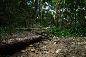 BIB: 
                            <button type="button" onclick="openModal(25003035)" class="btn btn-primary btn-sm float-right btn-popup" data-toggle="modal" data-target=".modal-high-quality">
                        <i class="fas fa-shopping-cart"></i> Add to Cart
                    </button>
                                            <button type="button" onclick="isThisMe(25003035, true)" class="btn btn-success btn-sm float-right btn-popup btn-isme hidden" data-toggle="tooltip" data-placement="bottom" title="นี่คือรูปของคุณใช่ไหม คลิกที่นี่เพื่อเอาเข้าอัลบั้ม">
                        <i class="fas fa-plus"></i> Add to album
                    </button>
                    <button type="button" onclick="isThisMe(25003035, false)" class="btn btn-warning btn-sm float-right btn-popup btn-isnotme hidden">
                        <i class="fas fa-ban"></i> Remove from album
                    </button>