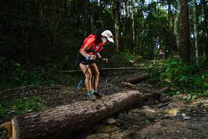 BIB: 
                            <button type="button" onclick="openModal(25002914)" class="btn btn-primary btn-sm float-right btn-popup" data-toggle="modal" data-target=".modal-high-quality">
                        <i class="fas fa-shopping-cart"></i> Add to Cart
                    </button>
                                            <button type="button" onclick="isThisMe(25002914, true)" class="btn btn-success btn-sm float-right btn-popup btn-isme hidden" data-toggle="tooltip" data-placement="bottom" title="นี่คือรูปของคุณใช่ไหม คลิกที่นี่เพื่อเอาเข้าอัลบั้ม">
                        <i class="fas fa-plus"></i> Add to album
                    </button>
                    <button type="button" onclick="isThisMe(25002914, false)" class="btn btn-warning btn-sm float-right btn-popup btn-isnotme hidden">
                        <i class="fas fa-ban"></i> Remove from album
                    </button>