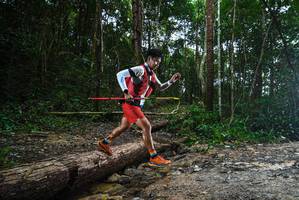 BIB: 
                            <button type="button" onclick="openModal(25002579)" class="btn btn-primary btn-sm float-right btn-popup" data-toggle="modal" data-target=".modal-high-quality">
                        <i class="fas fa-shopping-cart"></i> Add to Cart
                    </button>
                                            <button type="button" onclick="isThisMe(25002579, true)" class="btn btn-success btn-sm float-right btn-popup btn-isme hidden" data-toggle="tooltip" data-placement="bottom" title="นี่คือรูปของคุณใช่ไหม คลิกที่นี่เพื่อเอาเข้าอัลบั้ม">
                        <i class="fas fa-plus"></i> Add to album
                    </button>
                    <button type="button" onclick="isThisMe(25002579, false)" class="btn btn-warning btn-sm float-right btn-popup btn-isnotme hidden">
                        <i class="fas fa-ban"></i> Remove from album
                    </button>