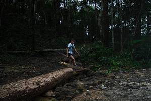 BIB: 
                            <button type="button" onclick="openModal(25002764)" class="btn btn-primary btn-sm float-right btn-popup" data-toggle="modal" data-target=".modal-high-quality">
                        <i class="fas fa-shopping-cart"></i> Add to Cart
                    </button>
                                            <button type="button" onclick="isThisMe(25002764, true)" class="btn btn-success btn-sm float-right btn-popup btn-isme hidden" data-toggle="tooltip" data-placement="bottom" title="นี่คือรูปของคุณใช่ไหม คลิกที่นี่เพื่อเอาเข้าอัลบั้ม">
                        <i class="fas fa-plus"></i> Add to album
                    </button>
                    <button type="button" onclick="isThisMe(25002764, false)" class="btn btn-warning btn-sm float-right btn-popup btn-isnotme hidden">
                        <i class="fas fa-ban"></i> Remove from album
                    </button>