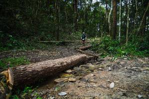 BIB: 
                            <button type="button" onclick="openModal(25003038)" class="btn btn-primary btn-sm float-right btn-popup" data-toggle="modal" data-target=".modal-high-quality">
                        <i class="fas fa-shopping-cart"></i> Add to Cart
                    </button>
                                            <button type="button" onclick="isThisMe(25003038, true)" class="btn btn-success btn-sm float-right btn-popup btn-isme hidden" data-toggle="tooltip" data-placement="bottom" title="นี่คือรูปของคุณใช่ไหม คลิกที่นี่เพื่อเอาเข้าอัลบั้ม">
                        <i class="fas fa-plus"></i> Add to album
                    </button>
                    <button type="button" onclick="isThisMe(25003038, false)" class="btn btn-warning btn-sm float-right btn-popup btn-isnotme hidden">
                        <i class="fas fa-ban"></i> Remove from album
                    </button>