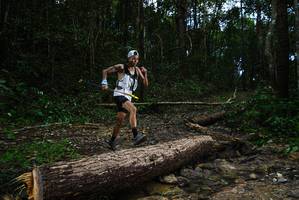 BIB: 
                            <button type="button" onclick="openModal(25002955)" class="btn btn-primary btn-sm float-right btn-popup" data-toggle="modal" data-target=".modal-high-quality">
                        <i class="fas fa-shopping-cart"></i> Add to Cart
                    </button>
                                            <button type="button" onclick="isThisMe(25002955, true)" class="btn btn-success btn-sm float-right btn-popup btn-isme hidden" data-toggle="tooltip" data-placement="bottom" title="นี่คือรูปของคุณใช่ไหม คลิกที่นี่เพื่อเอาเข้าอัลบั้ม">
                        <i class="fas fa-plus"></i> Add to album
                    </button>
                    <button type="button" onclick="isThisMe(25002955, false)" class="btn btn-warning btn-sm float-right btn-popup btn-isnotme hidden">
                        <i class="fas fa-ban"></i> Remove from album
                    </button>