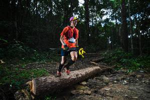 BIB: 
                            <button type="button" onclick="openModal(25002978)" class="btn btn-primary btn-sm float-right btn-popup" data-toggle="modal" data-target=".modal-high-quality">
                        <i class="fas fa-shopping-cart"></i> Add to Cart
                    </button>
                                            <button type="button" onclick="isThisMe(25002978, true)" class="btn btn-success btn-sm float-right btn-popup btn-isme hidden" data-toggle="tooltip" data-placement="bottom" title="นี่คือรูปของคุณใช่ไหม คลิกที่นี่เพื่อเอาเข้าอัลบั้ม">
                        <i class="fas fa-plus"></i> Add to album
                    </button>
                    <button type="button" onclick="isThisMe(25002978, false)" class="btn btn-warning btn-sm float-right btn-popup btn-isnotme hidden">
                        <i class="fas fa-ban"></i> Remove from album
                    </button>