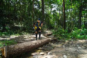 BIB: 
                            <button type="button" onclick="openModal(25003284)" class="btn btn-primary btn-sm float-right btn-popup" data-toggle="modal" data-target=".modal-high-quality">
                        <i class="fas fa-shopping-cart"></i> Add to Cart
                    </button>
                                            <button type="button" onclick="isThisMe(25003284, true)" class="btn btn-success btn-sm float-right btn-popup btn-isme hidden" data-toggle="tooltip" data-placement="bottom" title="นี่คือรูปของคุณใช่ไหม คลิกที่นี่เพื่อเอาเข้าอัลบั้ม">
                        <i class="fas fa-plus"></i> Add to album
                    </button>
                    <button type="button" onclick="isThisMe(25003284, false)" class="btn btn-warning btn-sm float-right btn-popup btn-isnotme hidden">
                        <i class="fas fa-ban"></i> Remove from album
                    </button>