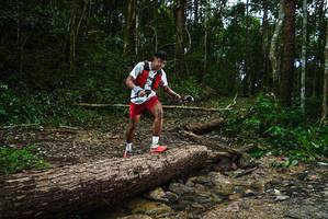 BIB: 
                            <button type="button" onclick="openModal(25002822)" class="btn btn-primary btn-sm float-right btn-popup" data-toggle="modal" data-target=".modal-high-quality">
                        <i class="fas fa-shopping-cart"></i> Add to Cart
                    </button>
                                            <button type="button" onclick="isThisMe(25002822, true)" class="btn btn-success btn-sm float-right btn-popup btn-isme hidden" data-toggle="tooltip" data-placement="bottom" title="นี่คือรูปของคุณใช่ไหม คลิกที่นี่เพื่อเอาเข้าอัลบั้ม">
                        <i class="fas fa-plus"></i> Add to album
                    </button>
                    <button type="button" onclick="isThisMe(25002822, false)" class="btn btn-warning btn-sm float-right btn-popup btn-isnotme hidden">
                        <i class="fas fa-ban"></i> Remove from album
                    </button>