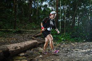 BIB: 
                            <button type="button" onclick="openModal(25003152)" class="btn btn-primary btn-sm float-right btn-popup" data-toggle="modal" data-target=".modal-high-quality">
                        <i class="fas fa-shopping-cart"></i> Add to Cart
                    </button>
                                            <button type="button" onclick="isThisMe(25003152, true)" class="btn btn-success btn-sm float-right btn-popup btn-isme hidden" data-toggle="tooltip" data-placement="bottom" title="นี่คือรูปของคุณใช่ไหม คลิกที่นี่เพื่อเอาเข้าอัลบั้ม">
                        <i class="fas fa-plus"></i> Add to album
                    </button>
                    <button type="button" onclick="isThisMe(25003152, false)" class="btn btn-warning btn-sm float-right btn-popup btn-isnotme hidden">
                        <i class="fas fa-ban"></i> Remove from album
                    </button>