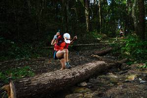 BIB: 
                            <button type="button" onclick="openModal(25002909)" class="btn btn-primary btn-sm float-right btn-popup" data-toggle="modal" data-target=".modal-high-quality">
                        <i class="fas fa-shopping-cart"></i> Add to Cart
                    </button>
                                            <button type="button" onclick="isThisMe(25002909, true)" class="btn btn-success btn-sm float-right btn-popup btn-isme hidden" data-toggle="tooltip" data-placement="bottom" title="นี่คือรูปของคุณใช่ไหม คลิกที่นี่เพื่อเอาเข้าอัลบั้ม">
                        <i class="fas fa-plus"></i> Add to album
                    </button>
                    <button type="button" onclick="isThisMe(25002909, false)" class="btn btn-warning btn-sm float-right btn-popup btn-isnotme hidden">
                        <i class="fas fa-ban"></i> Remove from album
                    </button>