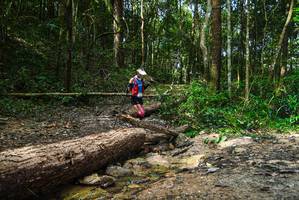 BIB: 
                            <button type="button" onclick="openModal(25002875)" class="btn btn-primary btn-sm float-right btn-popup" data-toggle="modal" data-target=".modal-high-quality">
                        <i class="fas fa-shopping-cart"></i> Add to Cart
                    </button>
                                            <button type="button" onclick="isThisMe(25002875, true)" class="btn btn-success btn-sm float-right btn-popup btn-isme hidden" data-toggle="tooltip" data-placement="bottom" title="นี่คือรูปของคุณใช่ไหม คลิกที่นี่เพื่อเอาเข้าอัลบั้ม">
                        <i class="fas fa-plus"></i> Add to album
                    </button>
                    <button type="button" onclick="isThisMe(25002875, false)" class="btn btn-warning btn-sm float-right btn-popup btn-isnotme hidden">
                        <i class="fas fa-ban"></i> Remove from album
                    </button>