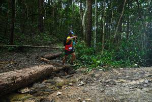 BIB: 
                            <button type="button" onclick="openModal(25003087)" class="btn btn-primary btn-sm float-right btn-popup" data-toggle="modal" data-target=".modal-high-quality">
                        <i class="fas fa-shopping-cart"></i> Add to Cart
                    </button>
                                            <button type="button" onclick="isThisMe(25003087, true)" class="btn btn-success btn-sm float-right btn-popup btn-isme hidden" data-toggle="tooltip" data-placement="bottom" title="นี่คือรูปของคุณใช่ไหม คลิกที่นี่เพื่อเอาเข้าอัลบั้ม">
                        <i class="fas fa-plus"></i> Add to album
                    </button>
                    <button type="button" onclick="isThisMe(25003087, false)" class="btn btn-warning btn-sm float-right btn-popup btn-isnotme hidden">
                        <i class="fas fa-ban"></i> Remove from album
                    </button>