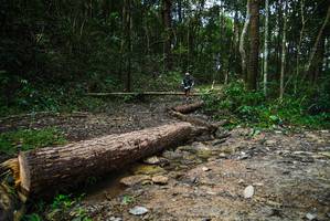 BIB: 
                            <button type="button" onclick="openModal(25003037)" class="btn btn-primary btn-sm float-right btn-popup" data-toggle="modal" data-target=".modal-high-quality">
                        <i class="fas fa-shopping-cart"></i> Add to Cart
                    </button>
                                            <button type="button" onclick="isThisMe(25003037, true)" class="btn btn-success btn-sm float-right btn-popup btn-isme hidden" data-toggle="tooltip" data-placement="bottom" title="นี่คือรูปของคุณใช่ไหม คลิกที่นี่เพื่อเอาเข้าอัลบั้ม">
                        <i class="fas fa-plus"></i> Add to album
                    </button>
                    <button type="button" onclick="isThisMe(25003037, false)" class="btn btn-warning btn-sm float-right btn-popup btn-isnotme hidden">
                        <i class="fas fa-ban"></i> Remove from album
                    </button>