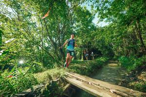 BIB: 
                            <button type="button" onclick="openModal(24990468)" class="btn btn-primary btn-sm float-right btn-popup" data-toggle="modal" data-target=".modal-high-quality">
                        <i class="fas fa-shopping-cart"></i> Add to Cart
                    </button>
                                            <button type="button" onclick="isThisMe(24990468, true)" class="btn btn-success btn-sm float-right btn-popup btn-isme hidden" data-toggle="tooltip" data-placement="bottom" title="นี่คือรูปของคุณใช่ไหม คลิกที่นี่เพื่อเอาเข้าอัลบั้ม">
                        <i class="fas fa-plus"></i> Add to album
                    </button>
                    <button type="button" onclick="isThisMe(24990468, false)" class="btn btn-warning btn-sm float-right btn-popup btn-isnotme hidden">
                        <i class="fas fa-ban"></i> Remove from album
                    </button>