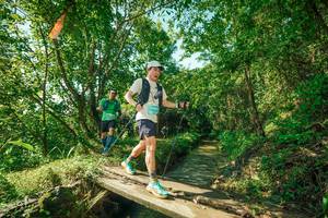 BIB: 
                            <button type="button" onclick="openModal(24991468)" class="btn btn-primary btn-sm float-right btn-popup" data-toggle="modal" data-target=".modal-high-quality">
                        <i class="fas fa-shopping-cart"></i> Add to Cart
                    </button>
                                            <button type="button" onclick="isThisMe(24991468, true)" class="btn btn-success btn-sm float-right btn-popup btn-isme hidden" data-toggle="tooltip" data-placement="bottom" title="นี่คือรูปของคุณใช่ไหม คลิกที่นี่เพื่อเอาเข้าอัลบั้ม">
                        <i class="fas fa-plus"></i> Add to album
                    </button>
                    <button type="button" onclick="isThisMe(24991468, false)" class="btn btn-warning btn-sm float-right btn-popup btn-isnotme hidden">
                        <i class="fas fa-ban"></i> Remove from album
                    </button>