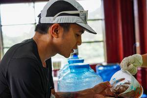 BIB: 
                            <button type="button" onclick="openModal(24995227)" class="btn btn-primary btn-sm float-right btn-popup" data-toggle="modal" data-target=".modal-high-quality">
                        <i class="fas fa-shopping-cart"></i> Add to Cart
                    </button>
                                            <button type="button" onclick="isThisMe(24995227, true)" class="btn btn-success btn-sm float-right btn-popup btn-isme hidden" data-toggle="tooltip" data-placement="bottom" title="นี่คือรูปของคุณใช่ไหม คลิกที่นี่เพื่อเอาเข้าอัลบั้ม">
                        <i class="fas fa-plus"></i> Add to album
                    </button>
                    <button type="button" onclick="isThisMe(24995227, false)" class="btn btn-warning btn-sm float-right btn-popup btn-isnotme hidden">
                        <i class="fas fa-ban"></i> Remove from album
                    </button>