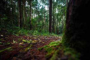 BIB: 
                            <button type="button" onclick="openModal(25008443)" class="btn btn-primary btn-sm float-right btn-popup" data-toggle="modal" data-target=".modal-high-quality">
                        <i class="fas fa-shopping-cart"></i> Add to Cart
                    </button>
                                            <button type="button" onclick="isThisMe(25008443, true)" class="btn btn-success btn-sm float-right btn-popup btn-isme hidden" data-toggle="tooltip" data-placement="bottom" title="นี่คือรูปของคุณใช่ไหม คลิกที่นี่เพื่อเอาเข้าอัลบั้ม">
                        <i class="fas fa-plus"></i> Add to album
                    </button>
                    <button type="button" onclick="isThisMe(25008443, false)" class="btn btn-warning btn-sm float-right btn-popup btn-isnotme hidden">
                        <i class="fas fa-ban"></i> Remove from album
                    </button>