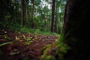 BIB: 
                            <button type="button" onclick="openModal(25008424)" class="btn btn-primary btn-sm float-right btn-popup" data-toggle="modal" data-target=".modal-high-quality">
                        <i class="fas fa-shopping-cart"></i> Add to Cart
                    </button>
                                            <button type="button" onclick="isThisMe(25008424, true)" class="btn btn-success btn-sm float-right btn-popup btn-isme hidden" data-toggle="tooltip" data-placement="bottom" title="นี่คือรูปของคุณใช่ไหม คลิกที่นี่เพื่อเอาเข้าอัลบั้ม">
                        <i class="fas fa-plus"></i> Add to album
                    </button>
                    <button type="button" onclick="isThisMe(25008424, false)" class="btn btn-warning btn-sm float-right btn-popup btn-isnotme hidden">
                        <i class="fas fa-ban"></i> Remove from album
                    </button>