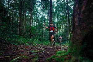 BIB: 
                            <button type="button" onclick="openModal(25010374)" class="btn btn-primary btn-sm float-right btn-popup" data-toggle="modal" data-target=".modal-high-quality">
                        <i class="fas fa-shopping-cart"></i> Add to Cart
                    </button>
                                            <button type="button" onclick="isThisMe(25010374, true)" class="btn btn-success btn-sm float-right btn-popup btn-isme hidden" data-toggle="tooltip" data-placement="bottom" title="นี่คือรูปของคุณใช่ไหม คลิกที่นี่เพื่อเอาเข้าอัลบั้ม">
                        <i class="fas fa-plus"></i> Add to album
                    </button>
                    <button type="button" onclick="isThisMe(25010374, false)" class="btn btn-warning btn-sm float-right btn-popup btn-isnotme hidden">
                        <i class="fas fa-ban"></i> Remove from album
                    </button>