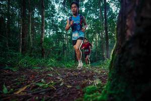 BIB: 
                            <button type="button" onclick="openModal(25008508)" class="btn btn-primary btn-sm float-right btn-popup" data-toggle="modal" data-target=".modal-high-quality">
                        <i class="fas fa-shopping-cart"></i> Add to Cart
                    </button>
                                            <button type="button" onclick="isThisMe(25008508, true)" class="btn btn-success btn-sm float-right btn-popup btn-isme hidden" data-toggle="tooltip" data-placement="bottom" title="นี่คือรูปของคุณใช่ไหม คลิกที่นี่เพื่อเอาเข้าอัลบั้ม">
                        <i class="fas fa-plus"></i> Add to album
                    </button>
                    <button type="button" onclick="isThisMe(25008508, false)" class="btn btn-warning btn-sm float-right btn-popup btn-isnotme hidden">
                        <i class="fas fa-ban"></i> Remove from album
                    </button>