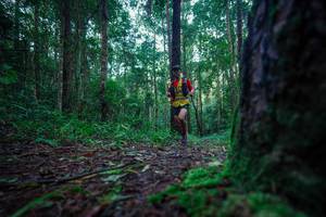 BIB: 
                            <button type="button" onclick="openModal(25010691)" class="btn btn-primary btn-sm float-right btn-popup" data-toggle="modal" data-target=".modal-high-quality">
                        <i class="fas fa-shopping-cart"></i> Add to Cart
                    </button>
                                            <button type="button" onclick="isThisMe(25010691, true)" class="btn btn-success btn-sm float-right btn-popup btn-isme hidden" data-toggle="tooltip" data-placement="bottom" title="นี่คือรูปของคุณใช่ไหม คลิกที่นี่เพื่อเอาเข้าอัลบั้ม">
                        <i class="fas fa-plus"></i> Add to album
                    </button>
                    <button type="button" onclick="isThisMe(25010691, false)" class="btn btn-warning btn-sm float-right btn-popup btn-isnotme hidden">
                        <i class="fas fa-ban"></i> Remove from album
                    </button>