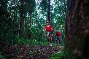 BIB: 
                            <button type="button" onclick="openModal(25009582)" class="btn btn-primary btn-sm float-right btn-popup" data-toggle="modal" data-target=".modal-high-quality">
                        <i class="fas fa-shopping-cart"></i> Add to Cart
                    </button>
                                            <button type="button" onclick="isThisMe(25009582, true)" class="btn btn-success btn-sm float-right btn-popup btn-isme hidden" data-toggle="tooltip" data-placement="bottom" title="นี่คือรูปของคุณใช่ไหม คลิกที่นี่เพื่อเอาเข้าอัลบั้ม">
                        <i class="fas fa-plus"></i> Add to album
                    </button>
                    <button type="button" onclick="isThisMe(25009582, false)" class="btn btn-warning btn-sm float-right btn-popup btn-isnotme hidden">
                        <i class="fas fa-ban"></i> Remove from album
                    </button>