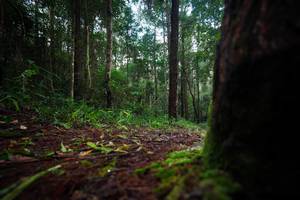 BIB: 
                            <button type="button" onclick="openModal(25008462)" class="btn btn-primary btn-sm float-right btn-popup" data-toggle="modal" data-target=".modal-high-quality">
                        <i class="fas fa-shopping-cart"></i> Add to Cart
                    </button>
                                            <button type="button" onclick="isThisMe(25008462, true)" class="btn btn-success btn-sm float-right btn-popup btn-isme hidden" data-toggle="tooltip" data-placement="bottom" title="นี่คือรูปของคุณใช่ไหม คลิกที่นี่เพื่อเอาเข้าอัลบั้ม">
                        <i class="fas fa-plus"></i> Add to album
                    </button>
                    <button type="button" onclick="isThisMe(25008462, false)" class="btn btn-warning btn-sm float-right btn-popup btn-isnotme hidden">
                        <i class="fas fa-ban"></i> Remove from album
                    </button>