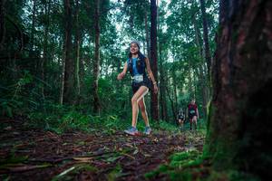 BIB: 
                            <button type="button" onclick="openModal(25010504)" class="btn btn-primary btn-sm float-right btn-popup" data-toggle="modal" data-target=".modal-high-quality">
                        <i class="fas fa-shopping-cart"></i> Add to Cart
                    </button>
                                            <button type="button" onclick="isThisMe(25010504, true)" class="btn btn-success btn-sm float-right btn-popup btn-isme hidden" data-toggle="tooltip" data-placement="bottom" title="นี่คือรูปของคุณใช่ไหม คลิกที่นี่เพื่อเอาเข้าอัลบั้ม">
                        <i class="fas fa-plus"></i> Add to album
                    </button>
                    <button type="button" onclick="isThisMe(25010504, false)" class="btn btn-warning btn-sm float-right btn-popup btn-isnotme hidden">
                        <i class="fas fa-ban"></i> Remove from album
                    </button>