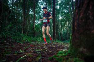 BIB: 
                            <button type="button" onclick="openModal(25008922)" class="btn btn-primary btn-sm float-right btn-popup" data-toggle="modal" data-target=".modal-high-quality">
                        <i class="fas fa-shopping-cart"></i> Add to Cart
                    </button>
                                            <button type="button" onclick="isThisMe(25008922, true)" class="btn btn-success btn-sm float-right btn-popup btn-isme hidden" data-toggle="tooltip" data-placement="bottom" title="นี่คือรูปของคุณใช่ไหม คลิกที่นี่เพื่อเอาเข้าอัลบั้ม">
                        <i class="fas fa-plus"></i> Add to album
                    </button>
                    <button type="button" onclick="isThisMe(25008922, false)" class="btn btn-warning btn-sm float-right btn-popup btn-isnotme hidden">
                        <i class="fas fa-ban"></i> Remove from album
                    </button>