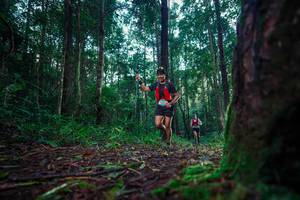 BIB: 
                            <button type="button" onclick="openModal(25010392)" class="btn btn-primary btn-sm float-right btn-popup" data-toggle="modal" data-target=".modal-high-quality">
                        <i class="fas fa-shopping-cart"></i> Add to Cart
                    </button>
                                            <button type="button" onclick="isThisMe(25010392, true)" class="btn btn-success btn-sm float-right btn-popup btn-isme hidden" data-toggle="tooltip" data-placement="bottom" title="นี่คือรูปของคุณใช่ไหม คลิกที่นี่เพื่อเอาเข้าอัลบั้ม">
                        <i class="fas fa-plus"></i> Add to album
                    </button>
                    <button type="button" onclick="isThisMe(25010392, false)" class="btn btn-warning btn-sm float-right btn-popup btn-isnotme hidden">
                        <i class="fas fa-ban"></i> Remove from album
                    </button>