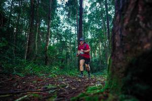 BIB: 
                            <button type="button" onclick="openModal(25010446)" class="btn btn-primary btn-sm float-right btn-popup" data-toggle="modal" data-target=".modal-high-quality">
                        <i class="fas fa-shopping-cart"></i> Add to Cart
                    </button>
                                            <button type="button" onclick="isThisMe(25010446, true)" class="btn btn-success btn-sm float-right btn-popup btn-isme hidden" data-toggle="tooltip" data-placement="bottom" title="นี่คือรูปของคุณใช่ไหม คลิกที่นี่เพื่อเอาเข้าอัลบั้ม">
                        <i class="fas fa-plus"></i> Add to album
                    </button>
                    <button type="button" onclick="isThisMe(25010446, false)" class="btn btn-warning btn-sm float-right btn-popup btn-isnotme hidden">
                        <i class="fas fa-ban"></i> Remove from album
                    </button>