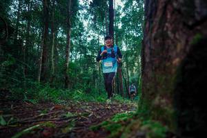 BIB: 
                            <button type="button" onclick="openModal(25009383)" class="btn btn-primary btn-sm float-right btn-popup" data-toggle="modal" data-target=".modal-high-quality">
                        <i class="fas fa-shopping-cart"></i> Add to Cart
                    </button>
                                            <button type="button" onclick="isThisMe(25009383, true)" class="btn btn-success btn-sm float-right btn-popup btn-isme hidden" data-toggle="tooltip" data-placement="bottom" title="นี่คือรูปของคุณใช่ไหม คลิกที่นี่เพื่อเอาเข้าอัลบั้ม">
                        <i class="fas fa-plus"></i> Add to album
                    </button>
                    <button type="button" onclick="isThisMe(25009383, false)" class="btn btn-warning btn-sm float-right btn-popup btn-isnotme hidden">
                        <i class="fas fa-ban"></i> Remove from album
                    </button>