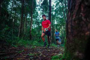 BIB: 
                            <button type="button" onclick="openModal(25009645)" class="btn btn-primary btn-sm float-right btn-popup" data-toggle="modal" data-target=".modal-high-quality">
                        <i class="fas fa-shopping-cart"></i> Add to Cart
                    </button>
                                            <button type="button" onclick="isThisMe(25009645, true)" class="btn btn-success btn-sm float-right btn-popup btn-isme hidden" data-toggle="tooltip" data-placement="bottom" title="นี่คือรูปของคุณใช่ไหม คลิกที่นี่เพื่อเอาเข้าอัลบั้ม">
                        <i class="fas fa-plus"></i> Add to album
                    </button>
                    <button type="button" onclick="isThisMe(25009645, false)" class="btn btn-warning btn-sm float-right btn-popup btn-isnotme hidden">
                        <i class="fas fa-ban"></i> Remove from album
                    </button>