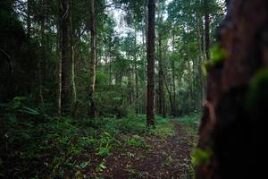 BIB: 
                            <button type="button" onclick="openModal(25008486)" class="btn btn-primary btn-sm float-right btn-popup" data-toggle="modal" data-target=".modal-high-quality">
                        <i class="fas fa-shopping-cart"></i> Add to Cart
                    </button>
                                            <button type="button" onclick="isThisMe(25008486, true)" class="btn btn-success btn-sm float-right btn-popup btn-isme hidden" data-toggle="tooltip" data-placement="bottom" title="นี่คือรูปของคุณใช่ไหม คลิกที่นี่เพื่อเอาเข้าอัลบั้ม">
                        <i class="fas fa-plus"></i> Add to album
                    </button>
                    <button type="button" onclick="isThisMe(25008486, false)" class="btn btn-warning btn-sm float-right btn-popup btn-isnotme hidden">
                        <i class="fas fa-ban"></i> Remove from album
                    </button>