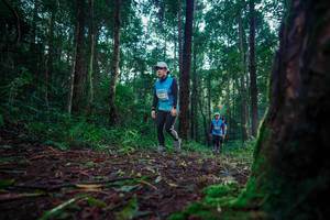 BIB: 
                            <button type="button" onclick="openModal(25010535)" class="btn btn-primary btn-sm float-right btn-popup" data-toggle="modal" data-target=".modal-high-quality">
                        <i class="fas fa-shopping-cart"></i> Add to Cart
                    </button>
                                            <button type="button" onclick="isThisMe(25010535, true)" class="btn btn-success btn-sm float-right btn-popup btn-isme hidden" data-toggle="tooltip" data-placement="bottom" title="นี่คือรูปของคุณใช่ไหม คลิกที่นี่เพื่อเอาเข้าอัลบั้ม">
                        <i class="fas fa-plus"></i> Add to album
                    </button>
                    <button type="button" onclick="isThisMe(25010535, false)" class="btn btn-warning btn-sm float-right btn-popup btn-isnotme hidden">
                        <i class="fas fa-ban"></i> Remove from album
                    </button>