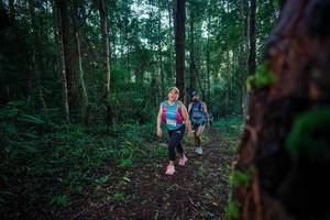 BIB: 
                            <button type="button" onclick="openModal(25010617)" class="btn btn-primary btn-sm float-right btn-popup" data-toggle="modal" data-target=".modal-high-quality">
                        <i class="fas fa-shopping-cart"></i> Add to Cart
                    </button>
                                            <button type="button" onclick="isThisMe(25010617, true)" class="btn btn-success btn-sm float-right btn-popup btn-isme hidden" data-toggle="tooltip" data-placement="bottom" title="นี่คือรูปของคุณใช่ไหม คลิกที่นี่เพื่อเอาเข้าอัลบั้ม">
                        <i class="fas fa-plus"></i> Add to album
                    </button>
                    <button type="button" onclick="isThisMe(25010617, false)" class="btn btn-warning btn-sm float-right btn-popup btn-isnotme hidden">
                        <i class="fas fa-ban"></i> Remove from album
                    </button>