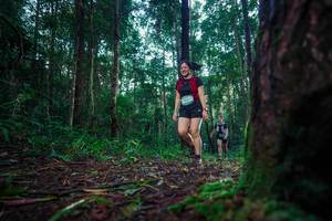 BIB: 
                            <button type="button" onclick="openModal(25010500)" class="btn btn-primary btn-sm float-right btn-popup" data-toggle="modal" data-target=".modal-high-quality">
                        <i class="fas fa-shopping-cart"></i> Add to Cart
                    </button>
                                            <button type="button" onclick="isThisMe(25010500, true)" class="btn btn-success btn-sm float-right btn-popup btn-isme hidden" data-toggle="tooltip" data-placement="bottom" title="นี่คือรูปของคุณใช่ไหม คลิกที่นี่เพื่อเอาเข้าอัลบั้ม">
                        <i class="fas fa-plus"></i> Add to album
                    </button>
                    <button type="button" onclick="isThisMe(25010500, false)" class="btn btn-warning btn-sm float-right btn-popup btn-isnotme hidden">
                        <i class="fas fa-ban"></i> Remove from album
                    </button>