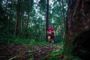 BIB: 
                            <button type="button" onclick="openModal(25010439)" class="btn btn-primary btn-sm float-right btn-popup" data-toggle="modal" data-target=".modal-high-quality">
                        <i class="fas fa-shopping-cart"></i> Add to Cart
                    </button>
                                            <button type="button" onclick="isThisMe(25010439, true)" class="btn btn-success btn-sm float-right btn-popup btn-isme hidden" data-toggle="tooltip" data-placement="bottom" title="นี่คือรูปของคุณใช่ไหม คลิกที่นี่เพื่อเอาเข้าอัลบั้ม">
                        <i class="fas fa-plus"></i> Add to album
                    </button>
                    <button type="button" onclick="isThisMe(25010439, false)" class="btn btn-warning btn-sm float-right btn-popup btn-isnotme hidden">
                        <i class="fas fa-ban"></i> Remove from album
                    </button>