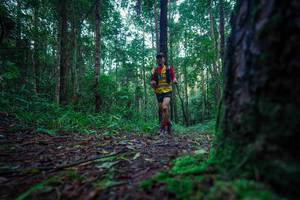 BIB: 
                            <button type="button" onclick="openModal(25010692)" class="btn btn-primary btn-sm float-right btn-popup" data-toggle="modal" data-target=".modal-high-quality">
                        <i class="fas fa-shopping-cart"></i> Add to Cart
                    </button>
                                            <button type="button" onclick="isThisMe(25010692, true)" class="btn btn-success btn-sm float-right btn-popup btn-isme hidden" data-toggle="tooltip" data-placement="bottom" title="นี่คือรูปของคุณใช่ไหม คลิกที่นี่เพื่อเอาเข้าอัลบั้ม">
                        <i class="fas fa-plus"></i> Add to album
                    </button>
                    <button type="button" onclick="isThisMe(25010692, false)" class="btn btn-warning btn-sm float-right btn-popup btn-isnotme hidden">
                        <i class="fas fa-ban"></i> Remove from album
                    </button>