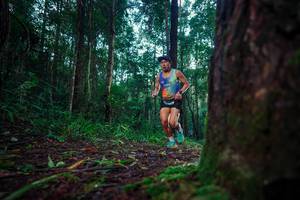 BIB: 
                            <button type="button" onclick="openModal(25008741)" class="btn btn-primary btn-sm float-right btn-popup" data-toggle="modal" data-target=".modal-high-quality">
                        <i class="fas fa-shopping-cart"></i> Add to Cart
                    </button>
                                            <button type="button" onclick="isThisMe(25008741, true)" class="btn btn-success btn-sm float-right btn-popup btn-isme hidden" data-toggle="tooltip" data-placement="bottom" title="นี่คือรูปของคุณใช่ไหม คลิกที่นี่เพื่อเอาเข้าอัลบั้ม">
                        <i class="fas fa-plus"></i> Add to album
                    </button>
                    <button type="button" onclick="isThisMe(25008741, false)" class="btn btn-warning btn-sm float-right btn-popup btn-isnotme hidden">
                        <i class="fas fa-ban"></i> Remove from album
                    </button>