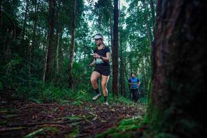 BIB: 
                            <button type="button" onclick="openModal(25009864)" class="btn btn-primary btn-sm float-right btn-popup" data-toggle="modal" data-target=".modal-high-quality">
                        <i class="fas fa-shopping-cart"></i> Add to Cart
                    </button>
                                            <button type="button" onclick="isThisMe(25009864, true)" class="btn btn-success btn-sm float-right btn-popup btn-isme hidden" data-toggle="tooltip" data-placement="bottom" title="นี่คือรูปของคุณใช่ไหม คลิกที่นี่เพื่อเอาเข้าอัลบั้ม">
                        <i class="fas fa-plus"></i> Add to album
                    </button>
                    <button type="button" onclick="isThisMe(25009864, false)" class="btn btn-warning btn-sm float-right btn-popup btn-isnotme hidden">
                        <i class="fas fa-ban"></i> Remove from album
                    </button>