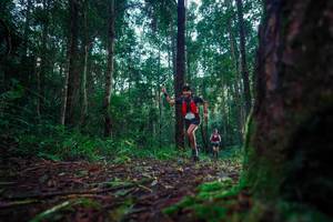 BIB: 
                            <button type="button" onclick="openModal(25010375)" class="btn btn-primary btn-sm float-right btn-popup" data-toggle="modal" data-target=".modal-high-quality">
                        <i class="fas fa-shopping-cart"></i> Add to Cart
                    </button>
                                            <button type="button" onclick="isThisMe(25010375, true)" class="btn btn-success btn-sm float-right btn-popup btn-isme hidden" data-toggle="tooltip" data-placement="bottom" title="นี่คือรูปของคุณใช่ไหม คลิกที่นี่เพื่อเอาเข้าอัลบั้ม">
                        <i class="fas fa-plus"></i> Add to album
                    </button>
                    <button type="button" onclick="isThisMe(25010375, false)" class="btn btn-warning btn-sm float-right btn-popup btn-isnotme hidden">
                        <i class="fas fa-ban"></i> Remove from album
                    </button>