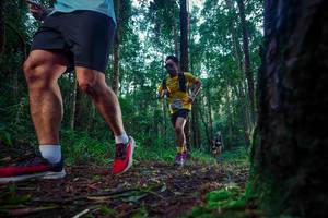 BIB: 
                            <button type="button" onclick="openModal(25010480)" class="btn btn-primary btn-sm float-right btn-popup" data-toggle="modal" data-target=".modal-high-quality">
                        <i class="fas fa-shopping-cart"></i> Add to Cart
                    </button>
                                            <button type="button" onclick="isThisMe(25010480, true)" class="btn btn-success btn-sm float-right btn-popup btn-isme hidden" data-toggle="tooltip" data-placement="bottom" title="นี่คือรูปของคุณใช่ไหม คลิกที่นี่เพื่อเอาเข้าอัลบั้ม">
                        <i class="fas fa-plus"></i> Add to album
                    </button>
                    <button type="button" onclick="isThisMe(25010480, false)" class="btn btn-warning btn-sm float-right btn-popup btn-isnotme hidden">
                        <i class="fas fa-ban"></i> Remove from album
                    </button>