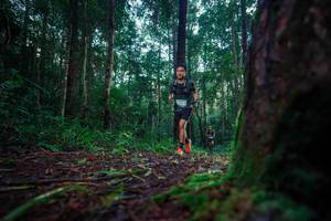 BIB: 
                            <button type="button" onclick="openModal(25010149)" class="btn btn-primary btn-sm float-right btn-popup" data-toggle="modal" data-target=".modal-high-quality">
                        <i class="fas fa-shopping-cart"></i> Add to Cart
                    </button>
                                            <button type="button" onclick="isThisMe(25010149, true)" class="btn btn-success btn-sm float-right btn-popup btn-isme hidden" data-toggle="tooltip" data-placement="bottom" title="นี่คือรูปของคุณใช่ไหม คลิกที่นี่เพื่อเอาเข้าอัลบั้ม">
                        <i class="fas fa-plus"></i> Add to album
                    </button>
                    <button type="button" onclick="isThisMe(25010149, false)" class="btn btn-warning btn-sm float-right btn-popup btn-isnotme hidden">
                        <i class="fas fa-ban"></i> Remove from album
                    </button>