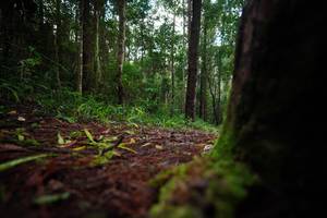 BIB: 
                            <button type="button" onclick="openModal(25008447)" class="btn btn-primary btn-sm float-right btn-popup" data-toggle="modal" data-target=".modal-high-quality">
                        <i class="fas fa-shopping-cart"></i> Add to Cart
                    </button>
                                            <button type="button" onclick="isThisMe(25008447, true)" class="btn btn-success btn-sm float-right btn-popup btn-isme hidden" data-toggle="tooltip" data-placement="bottom" title="นี่คือรูปของคุณใช่ไหม คลิกที่นี่เพื่อเอาเข้าอัลบั้ม">
                        <i class="fas fa-plus"></i> Add to album
                    </button>
                    <button type="button" onclick="isThisMe(25008447, false)" class="btn btn-warning btn-sm float-right btn-popup btn-isnotme hidden">
                        <i class="fas fa-ban"></i> Remove from album
                    </button>